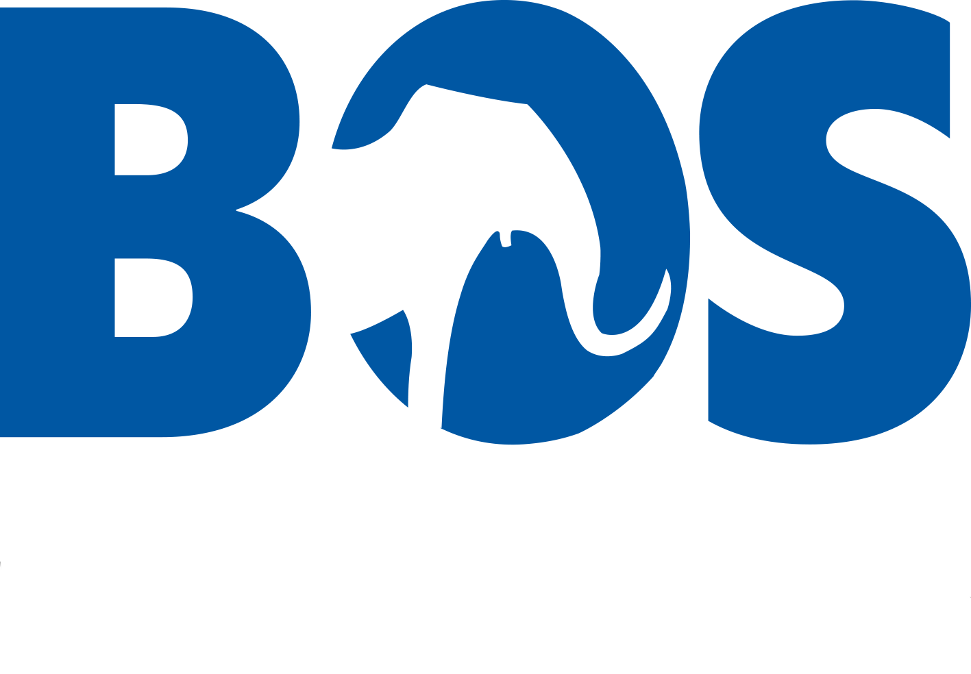 BOS Signaltechnik